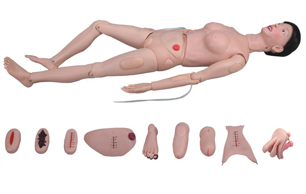 上?？等?高級(jí)全功能護(hù)理人訓(xùn)練模型（女性） KAR/2200