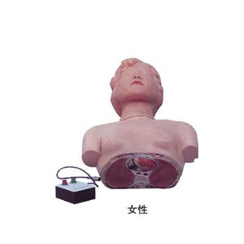 半身心肺復(fù)蘇訓(xùn)練模擬人KAS/CPR170 簡(jiǎn)易型